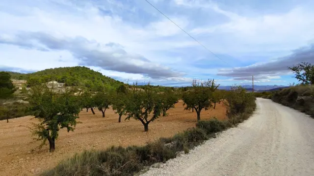 Finca rústica en Casa Los Molinos