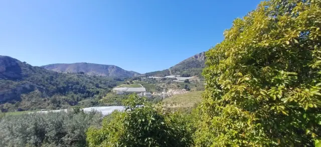 Finca rústica en Bolulla photo 3