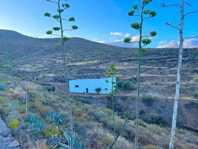 Finca rústica en Ingenio