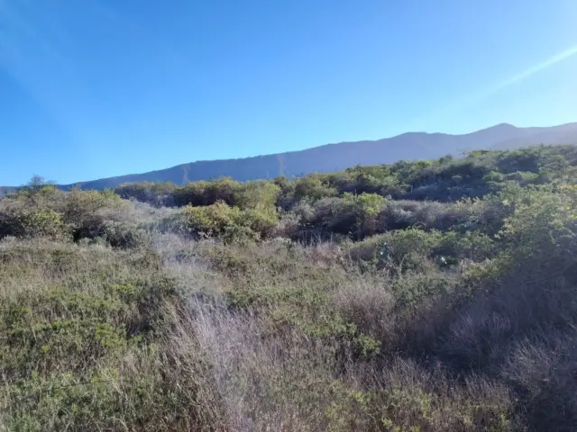 Finca rústica en Güímar