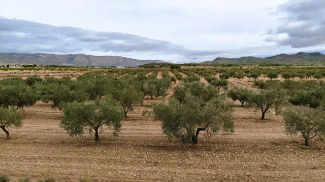 Finca rústica en Casa Los Molinos