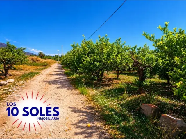 Rustic finca in Orihuela Pedanías