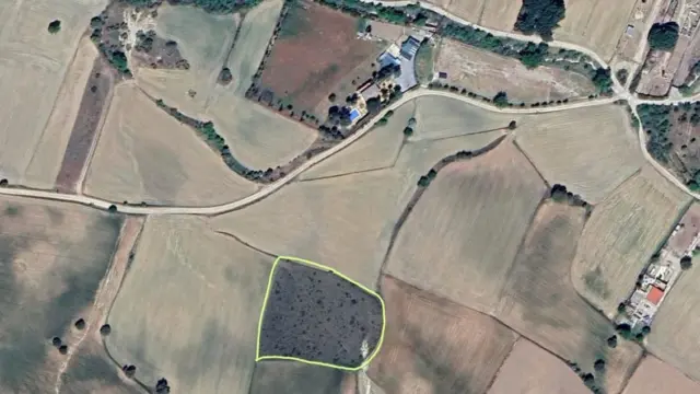 Rustic farm in Brunete