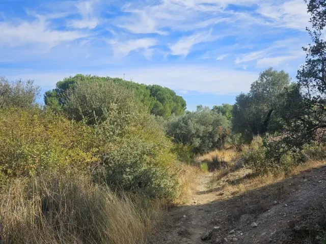 Rustic Finca in Camping Valdemorillo