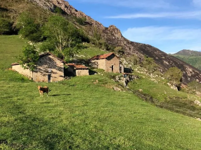Rustic Finca in Amieva