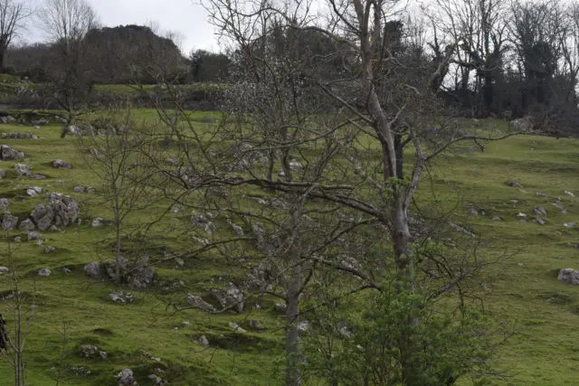 Rustic farm in Canales (Cabrales)