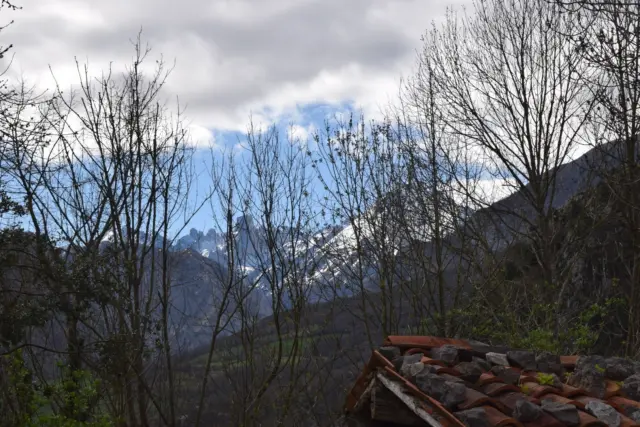 Rustic farm in Canales (Cabrales)