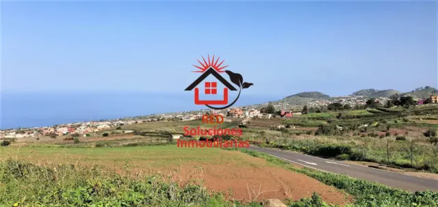 Rustic Finca in Tacoronte