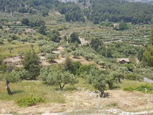 Rustic farm in Benimantell