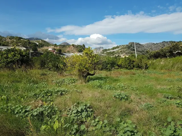 Rustic farm in Callosa d'en Sarrià