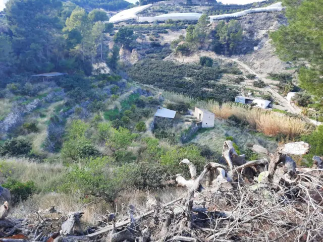 Rustic Finca in Polop