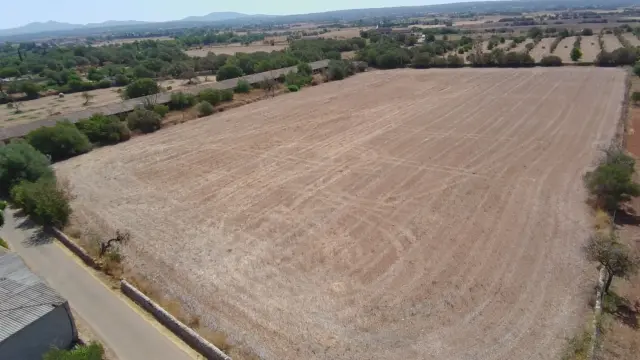 Rustic finca in Campos photo 3
