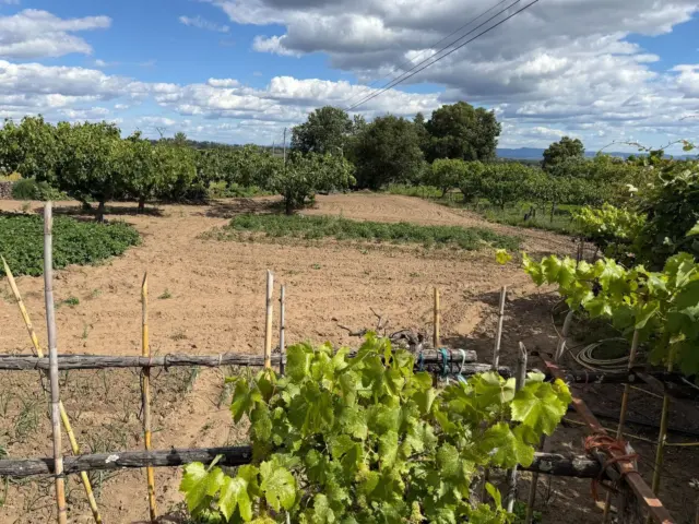 Finca rústica en Tejeda de Tiétar