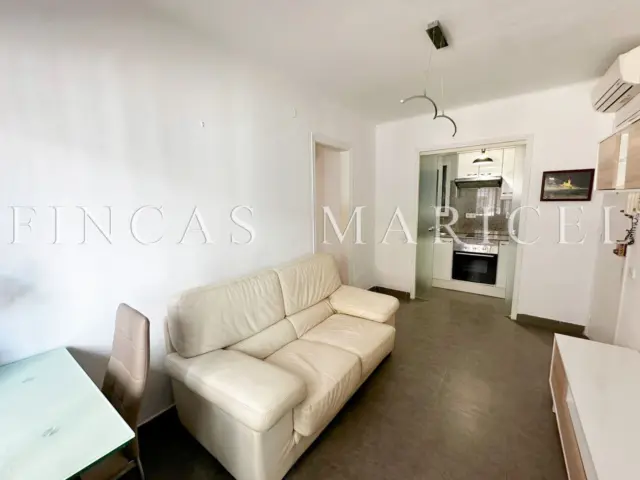 Flat in Els Molins-Poble Sec-Pins Vens photo 3
