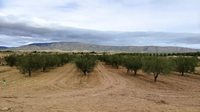 Finca rústica en Casa Los Molinos