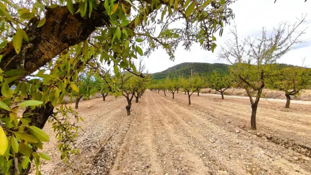 Finca rústica en Casa Los Molinos