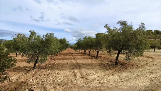 Finca rústica en Casa Los Molinos