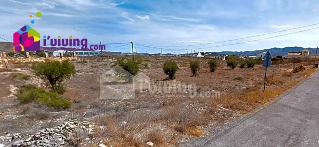 Rustic Finca in Albox