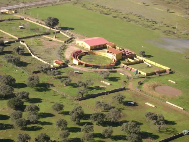 Rustic farm in Torrejón El Rubio