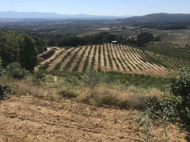 Rustic farm in Santa Cruz de Paniagua