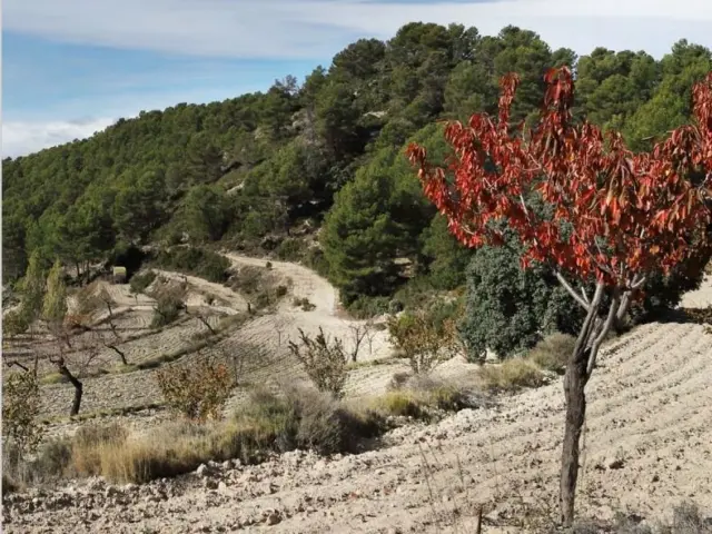 Finca rústica en Alcoyes