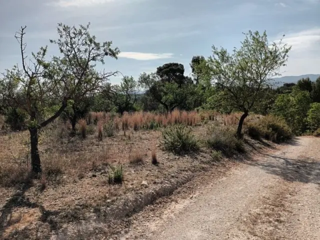 Rustic finca at 7 Les Alqueries Street, No. 6