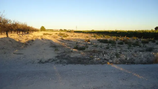 Rustic finca in Abanilla