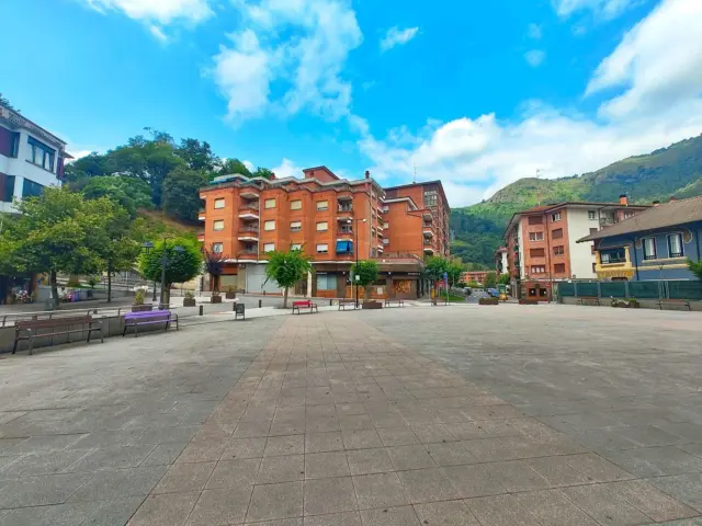Apartment in Alonsotegui photo 55