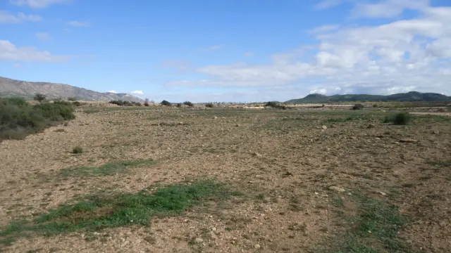 Rustic Finca in El Pinós - Pinoso