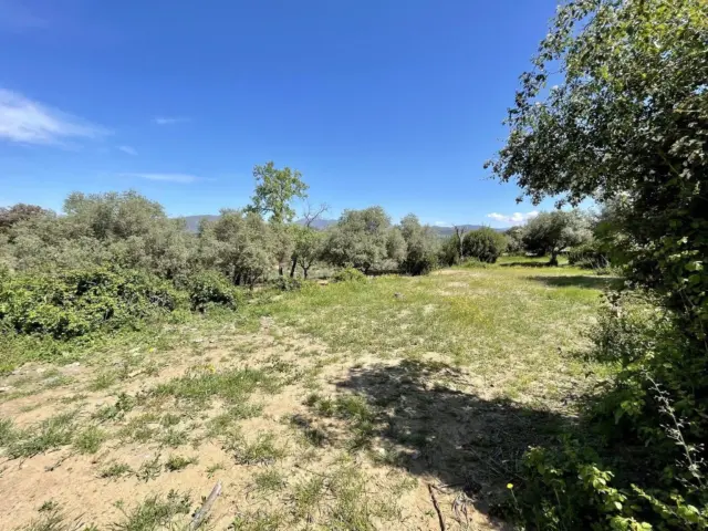 Rustic farm in Malpartida de Plasencia