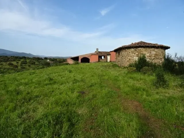 Finca rústica en Perales del Puerto