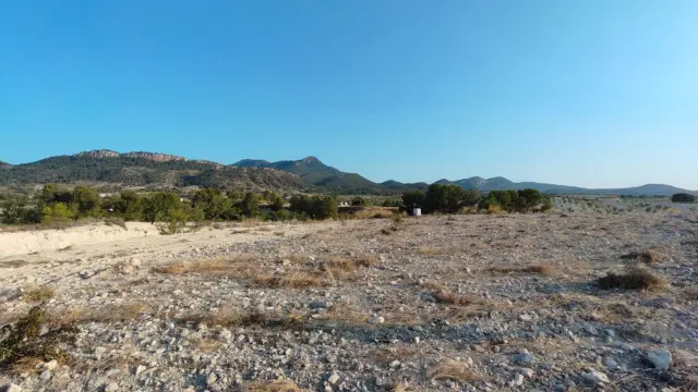 Rustic finca in Jumilla photo 32