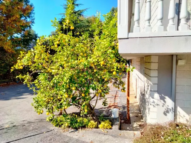 Chalet in Zollo photo 45