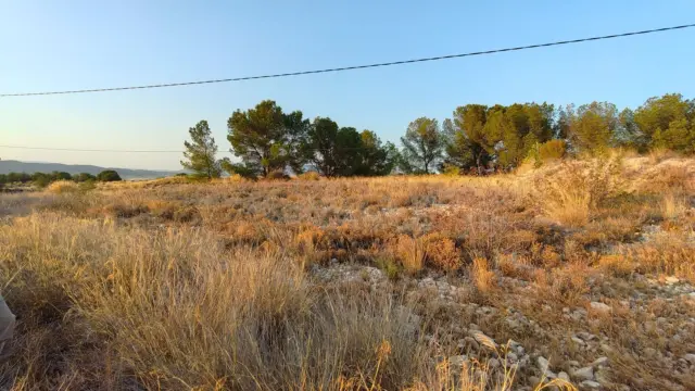 Rustic Finca in Abanilla photo 2