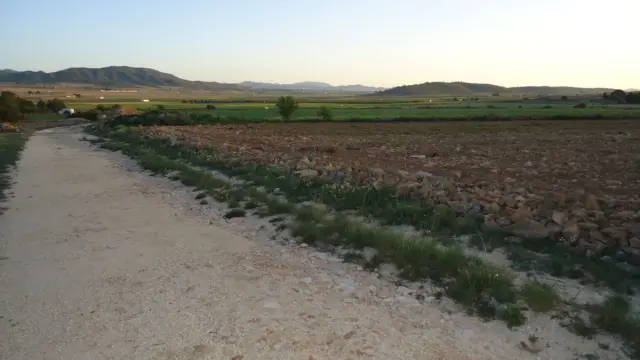 Rustic farm in Yecla