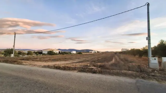 Rustic Finca in El Pinós - Pinoso