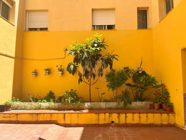 Apartment in Santa Fe photo 19