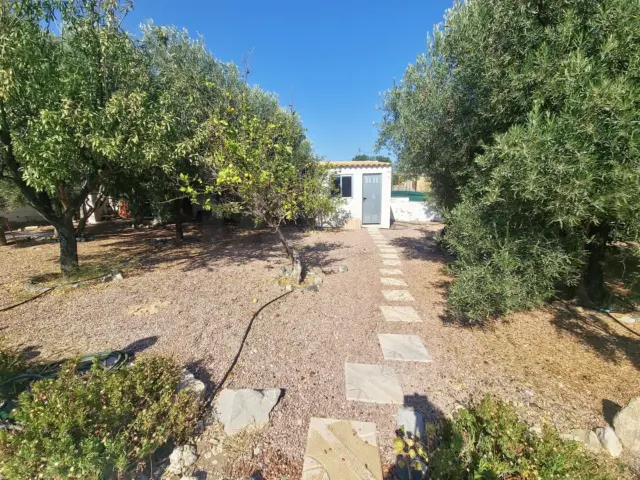 House in Busot photo 37