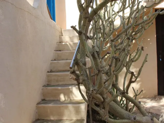 House in Albaricoques photo 31