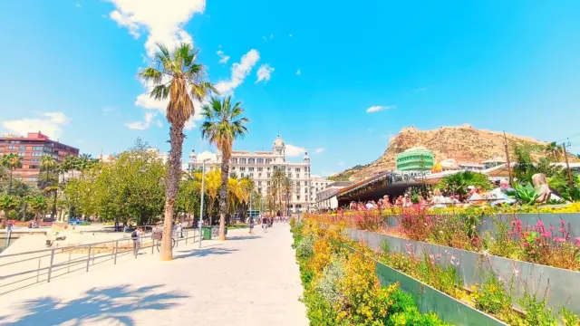 Alicante Flat photo 34