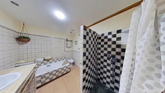 Apartment in Elche photo 13