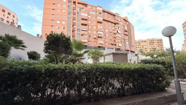 Apartment in Alicante photo 32