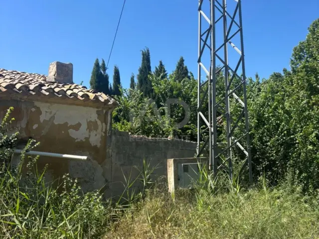 Rustic finca in Calasparra photo 10