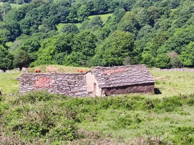 House on Calle Regadia. Pol.11, No. Information Not Available