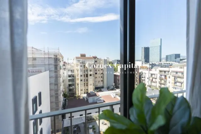 Apartment on Carrer de Bac de Roda photo 3