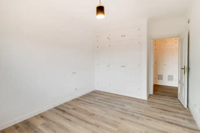 Apartment in Bel-Air-Cancelada-Saladillo photo 5