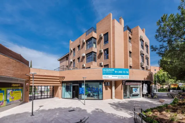 Piso en alquiler en Calle de Diego Ayllón - Imagen 27