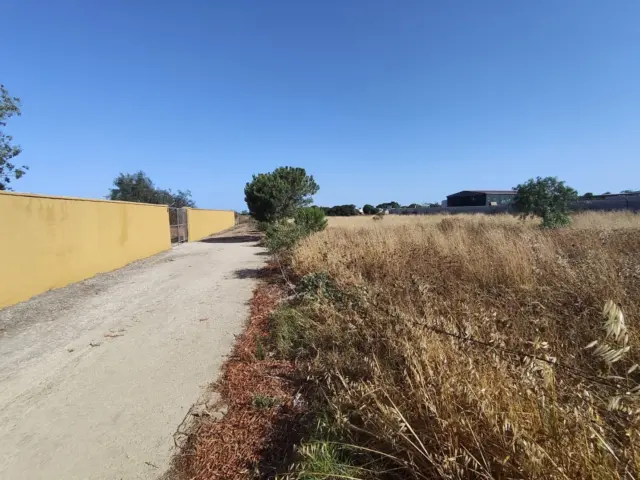 Rustic Finca in Vejer de la Frontera