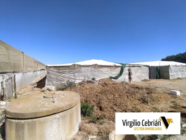 Rustic farm in Centro-Northeast Zone