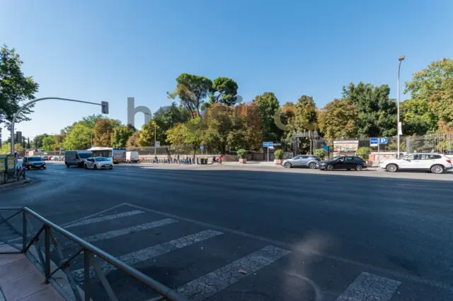 Apartment in Retiro photo 2